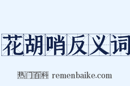 花胡哨反义词是什么意思的图片